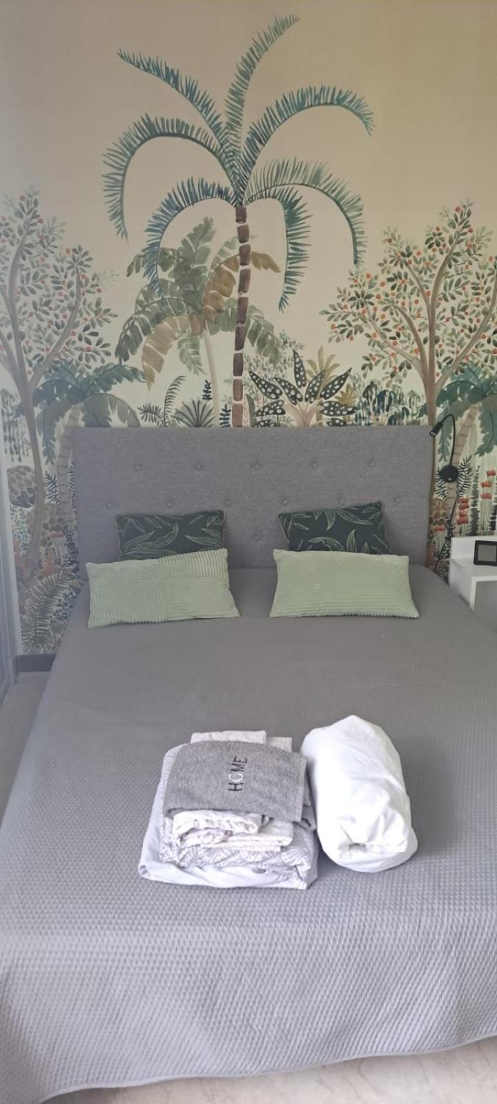 Studio Phannie Renove 50M Cures Амели-ле-Бен-Палальда Экстерьер фото